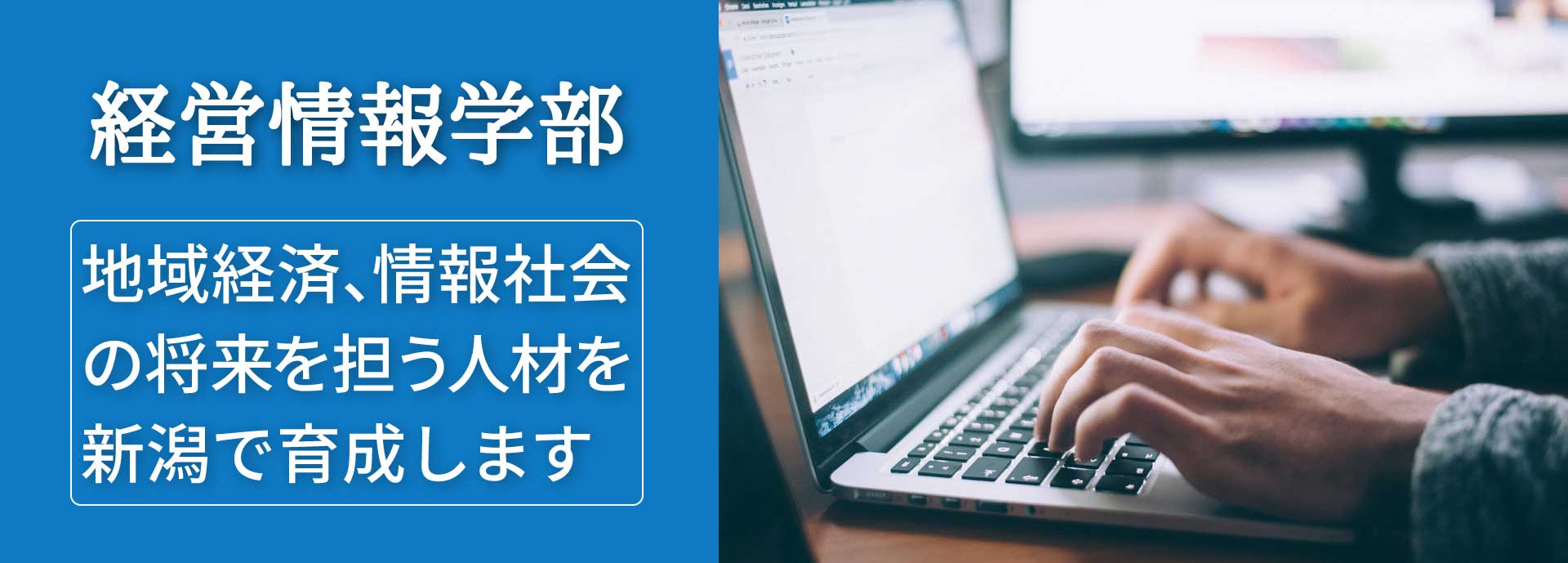 経営情報学部