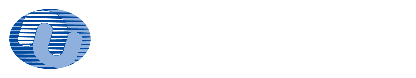 新潟国際情報大学